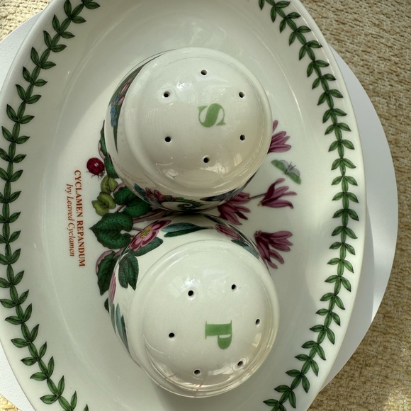 Portmeirion Botanic Garden Salt & Pepper Shaker Set - Cyclamen Repandum Design - Picture 2 of 6